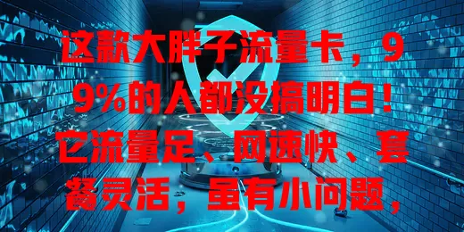 这款大胖子流量卡，99%的人都没搞明白！它流量足、网速快、套餐灵活，虽有小问题，但想找合适流量卡，就值得深入了解！