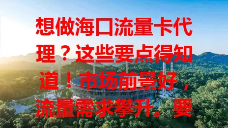 想做海口流量卡代理？这些要点得知道！市场前景好，流量需求攀升。要了解卡的种类特点，掌握推广方法，做好客户服务，全面准备才能抓住机遇实现目标