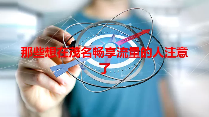 那些想在茂名畅享流量的人注意了