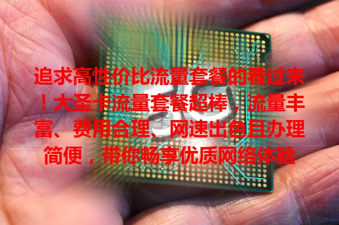 追求高性价比流量套餐的看过来！大圣卡流量套餐超棒，流量丰富、费用合理、网速出色且办理简便，带你畅享优质网络体验