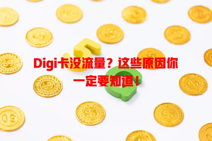 Digi卡没流量？这些原因你一定要知道！