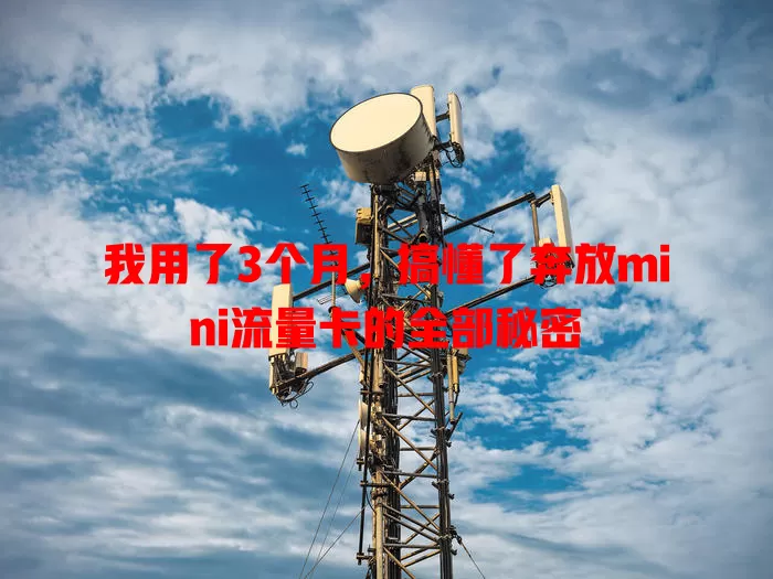 我用了3个月，搞懂了奔放mini流量卡的全部秘密