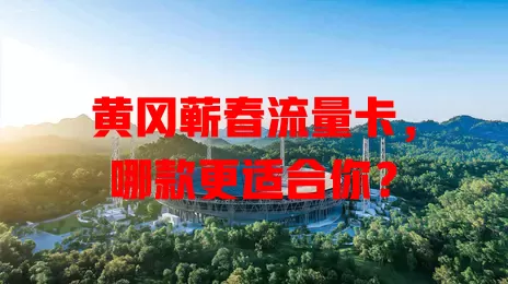 黄冈蕲春流量卡，哪款更适合你？