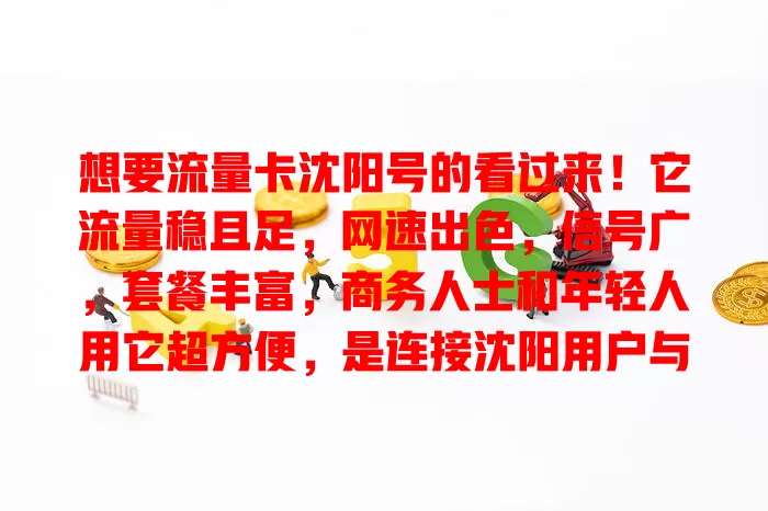 想要流量卡沈阳号的看过来！它流量稳且足，网速出色，信号广，套餐丰富，商务人士和年轻人用它超方便，是连接沈阳用户与精彩网络世界的桥梁