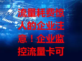 流量耗费惊人的企业注意！企业监控流量卡可精准监控、有灵活套餐、稳定性好且有客服支持，助您控制成本、提升效率