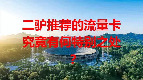 二驴推荐的流量卡究竟有何特别之处？