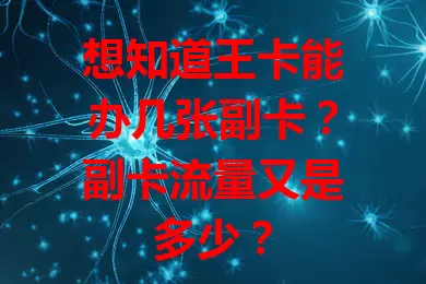 想知道王卡能办几张副卡？副卡流量又是多少？