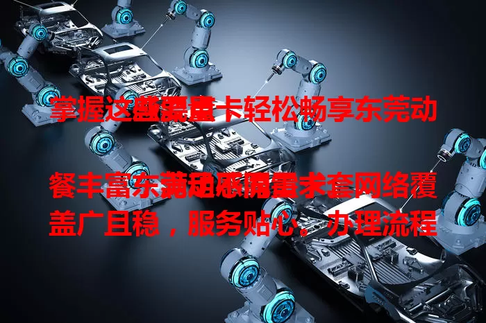 掌握这些要点，轻松畅享东莞动感流量卡

东莞动感流量卡套餐丰富，满足不同需求。网络覆盖广且稳，服务贴心。办理流程简便，是上网得力助手。还在愁流量？快来试试吧！