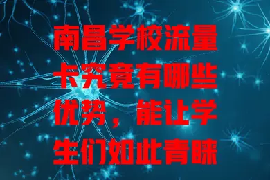 南昌学校流量卡究竟有哪些优势，能让学生们如此青睐？