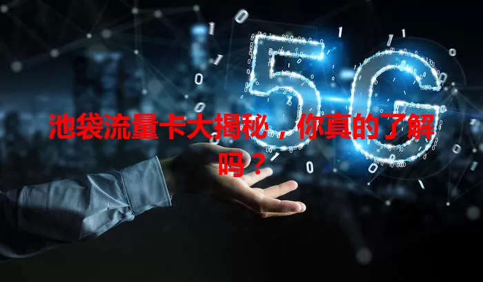 池袋流量卡大揭秘，你真的了解吗？