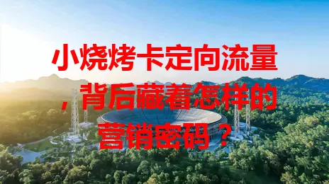 小烧烤卡定向流量，背后藏着怎样的营销密码？