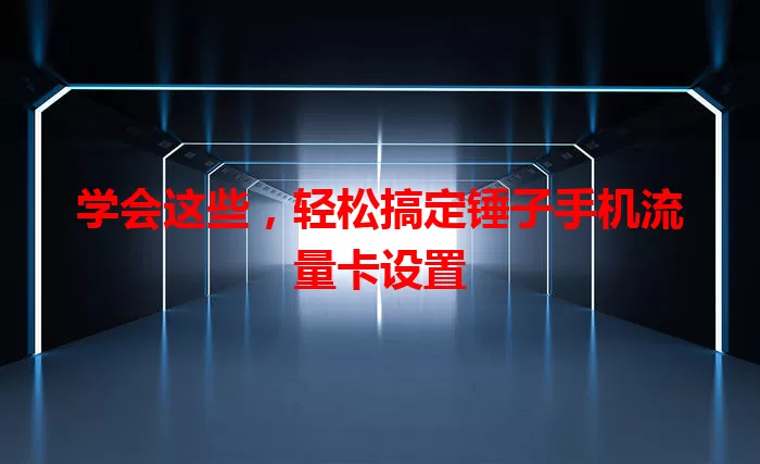 学会这些，轻松搞定锤子手机流量卡设置