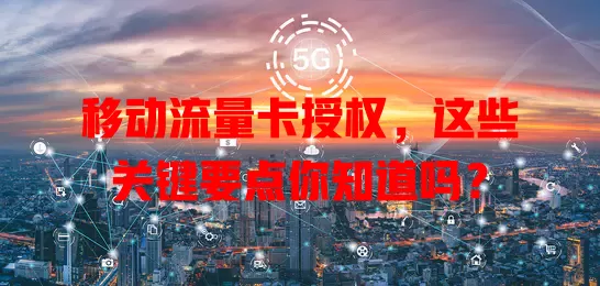移动流量卡授权，这些关键要点你知道吗？