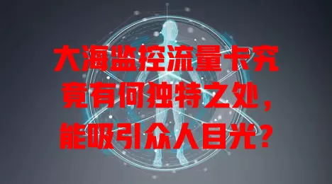 大海监控流量卡究竟有何独特之处，能吸引众人目光？