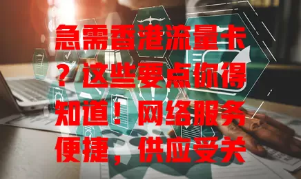 急需香港流量卡？这些要点你得知道！网络服务便捷，供应受关注，套餐多样，选卡要考虑信号和费用，按需选套餐，畅享香港网络！