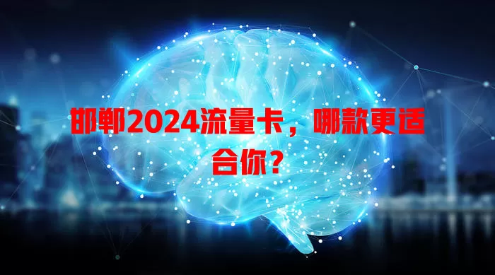 邯郸2024流量卡，哪款更适合你？