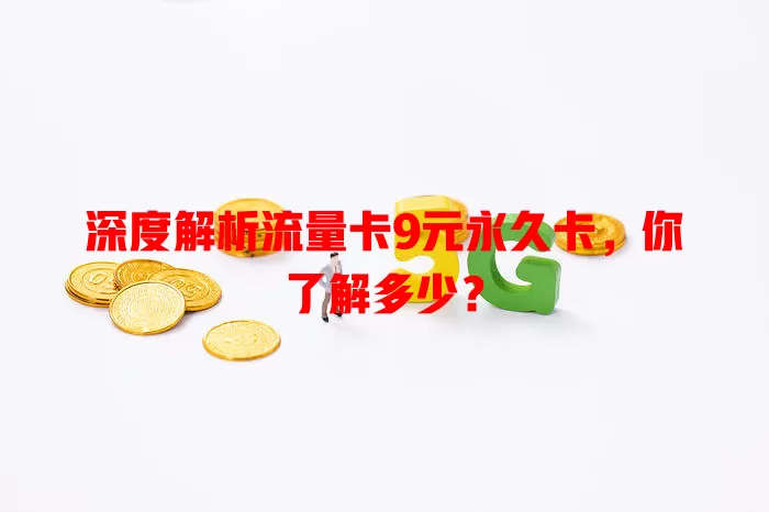 深度解析流量卡9元永久卡，你了解多少？