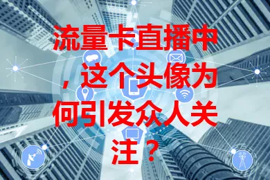 流量卡直播中，这个头像为何引发众人关注？