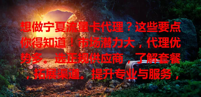 想做宁夏流量卡代理？这些要点你得知道！市场潜力大，代理优势多。选正规供应商，了解套餐，拓展渠道。提升专业与服务，把握机遇用心经营，就能实现目标！