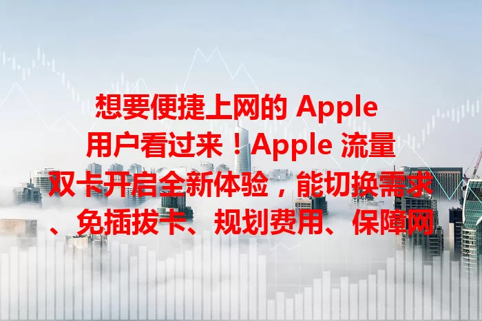 想要便捷上网的 Apple 用户看过来！Apple 流量双卡开启全新体验，能切换需求、免插拔卡、规划费用、保障网络，满足多样需求，提升使用体验，快来了解其魅力！