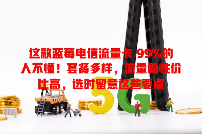 这款蓝莓电信流量卡 99%的人不懂！套餐多样，流量稳性价比高，选时留意这些要点