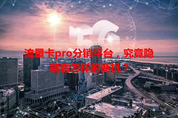 流量卡pro分销平台，究竟隐藏着怎样的商机？