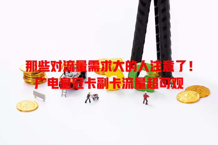 那些对流量需求大的人注意了！广电皇冠卡副卡流量超可观