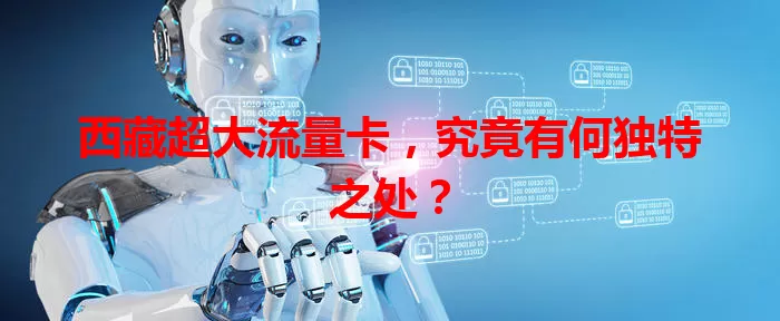 西藏超大流量卡，究竟有何独特之处？
