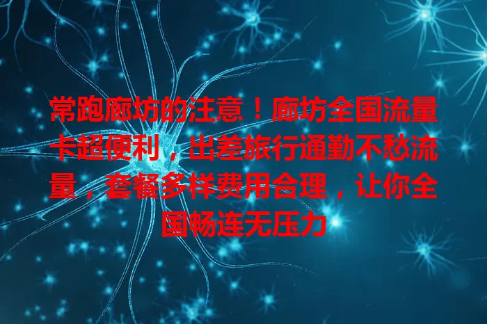 常跑廊坊的注意！廊坊全国流量卡超便利，出差旅行通勤不愁流量，套餐多样费用合理，让你全国畅连无压力