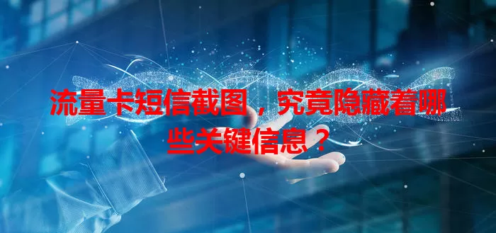 流量卡短信截图，究竟隐藏着哪些关键信息？