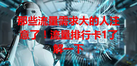 那些流量需求大的人注意了！流量排行卡1了解一下