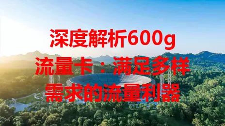 深度解析600g流量卡：满足多样需求的流量利器