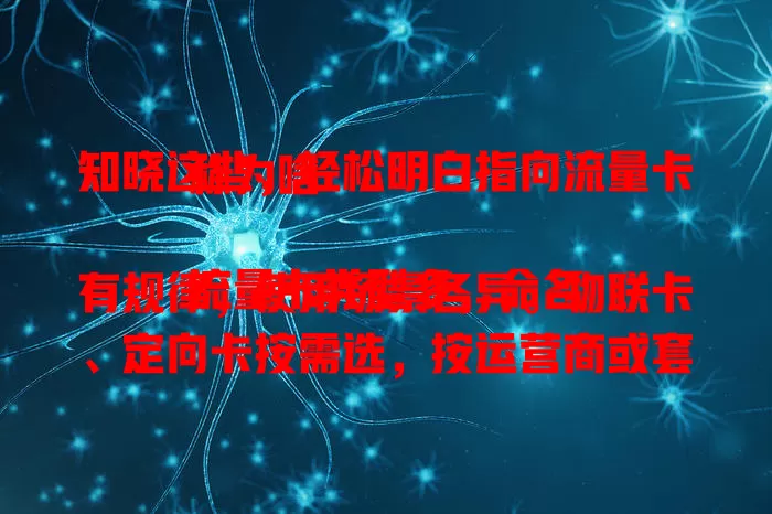 知晓这些，轻松明白指向流量卡称为啥

流量卡类型多，命名有规律，使用场景各异。物联卡、定向卡按需选，按运营商或套餐内容命名。商务选全国通用，学生选校园卡。了解相关知识，选卡更明智，畅游网络！