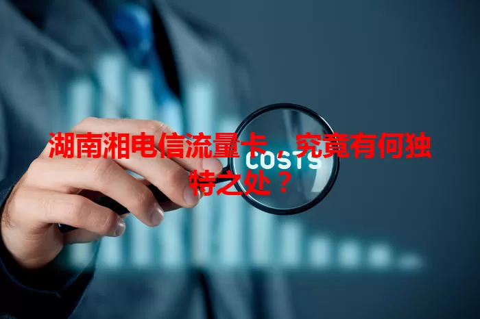 湖南湘电信流量卡，究竟有何独特之处？