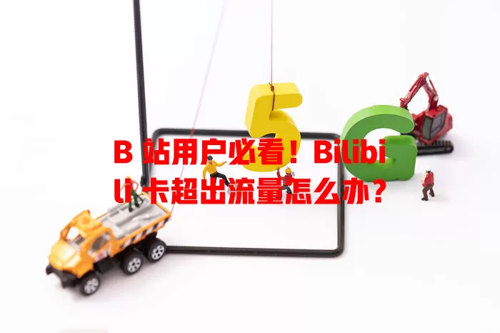 B 站用户必看！Bilibili 卡超出流量怎么办？