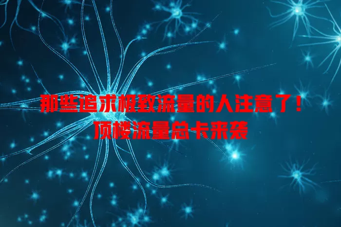 那些追求极致流量的人注意了！顶楼流量总卡来袭