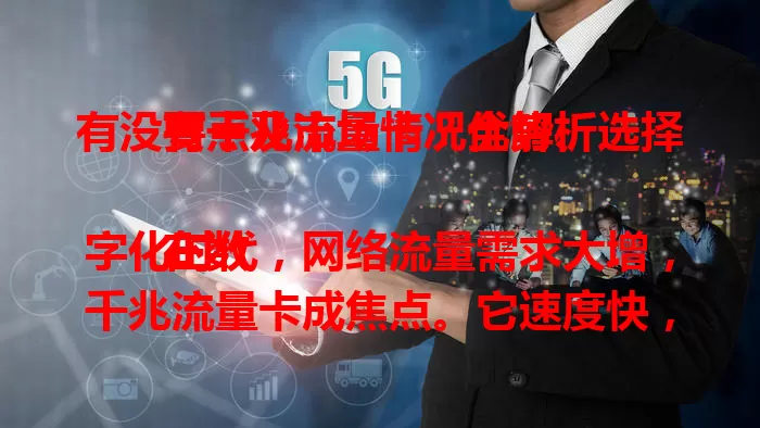 有没有千兆流量卡？优势、选择要点及市场情况全解析

在数字化时代，网络流量需求大增，千兆流量卡成焦点。它速度快，能提效，但选时要关注覆盖和费用。市场上有，可按需挑选，对网速要求高的快来了解，开启畅快网络生活。