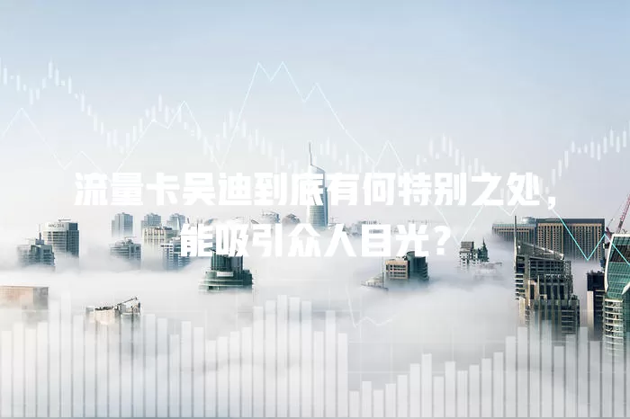 流量卡吴迪到底有何特别之处，能吸引众人目光？