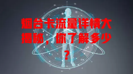 烟台卡流量详情大揭秘，你了解多少？