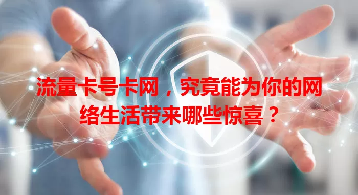 流量卡号卡网，究竟能为你的网络生活带来哪些惊喜？