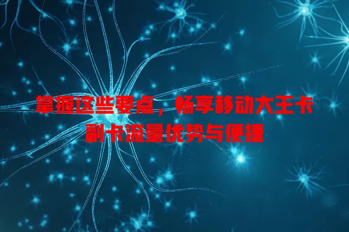 掌握这些要点，畅享移动大王卡副卡流量优势与便捷