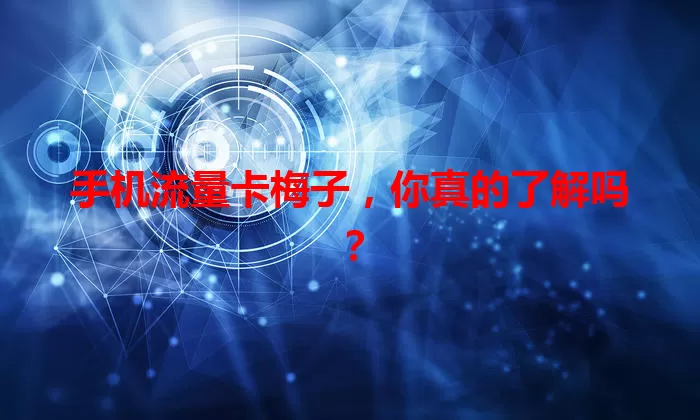 手机流量卡梅子，你真的了解吗？