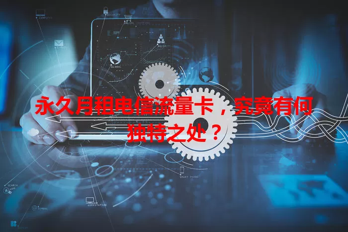 永久月租电信流量卡，究竟有何独特之处？