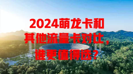 2024萌龙卡和其他流量卡对比，谁更值得选？