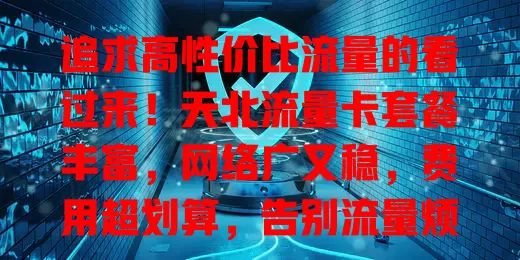 追求高性价比流量的看过来！天北流量卡套餐丰富，网络广又稳，费用超划算，告别流量烦恼，畅享数字化生活