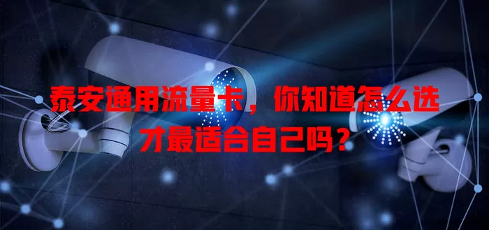泰安通用流量卡，你知道怎么选才最适合自己吗？