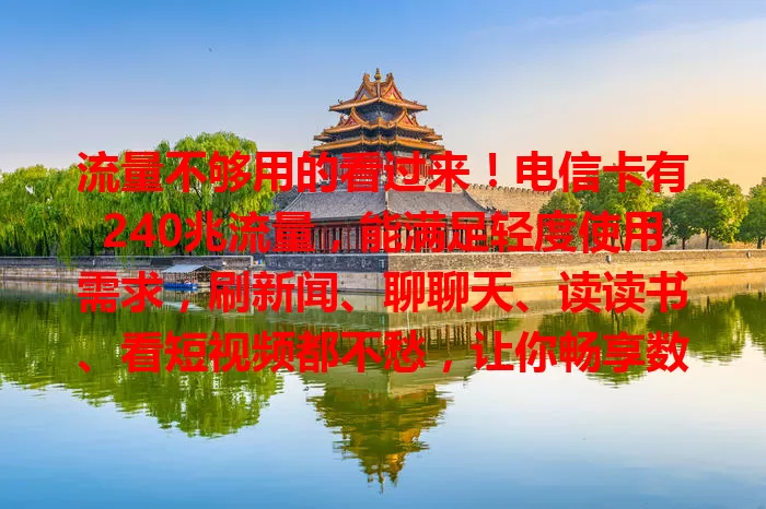 流量不够用的看过来！电信卡有240兆流量，能满足轻度使用需求，刷新闻、聊聊天、读读书、看短视频都不愁，让你畅享数字生活少担忧