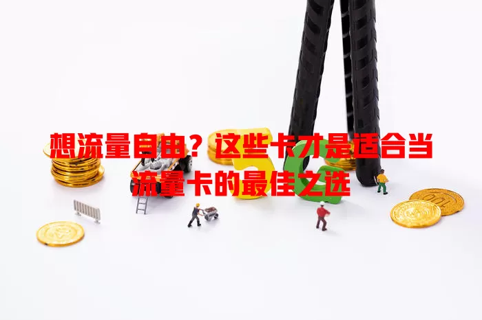 想流量自由？这些卡才是适合当流量卡的最佳之选