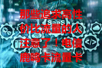 那些追求高性价比流量的人注意了！电信鹿鸣卡流量卡来啦