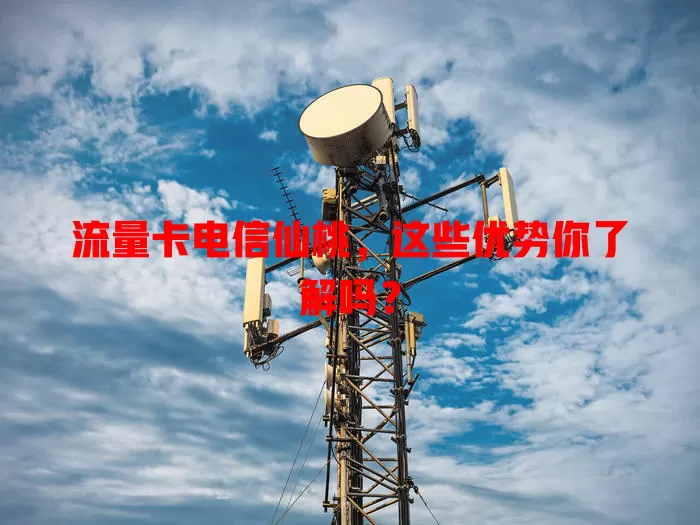 流量卡电信仙桃，这些优势你了解吗？